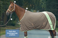 Decken aller Art bei RSP-Reitsport